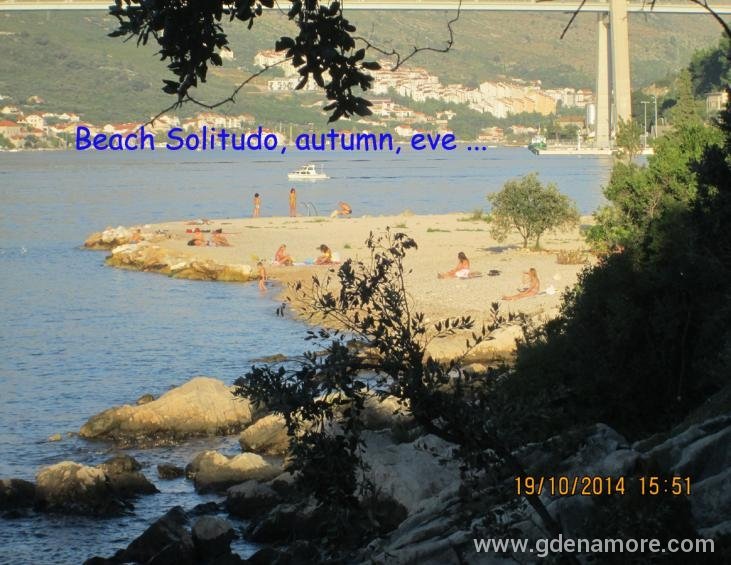 Plazica Solitudo, jesen